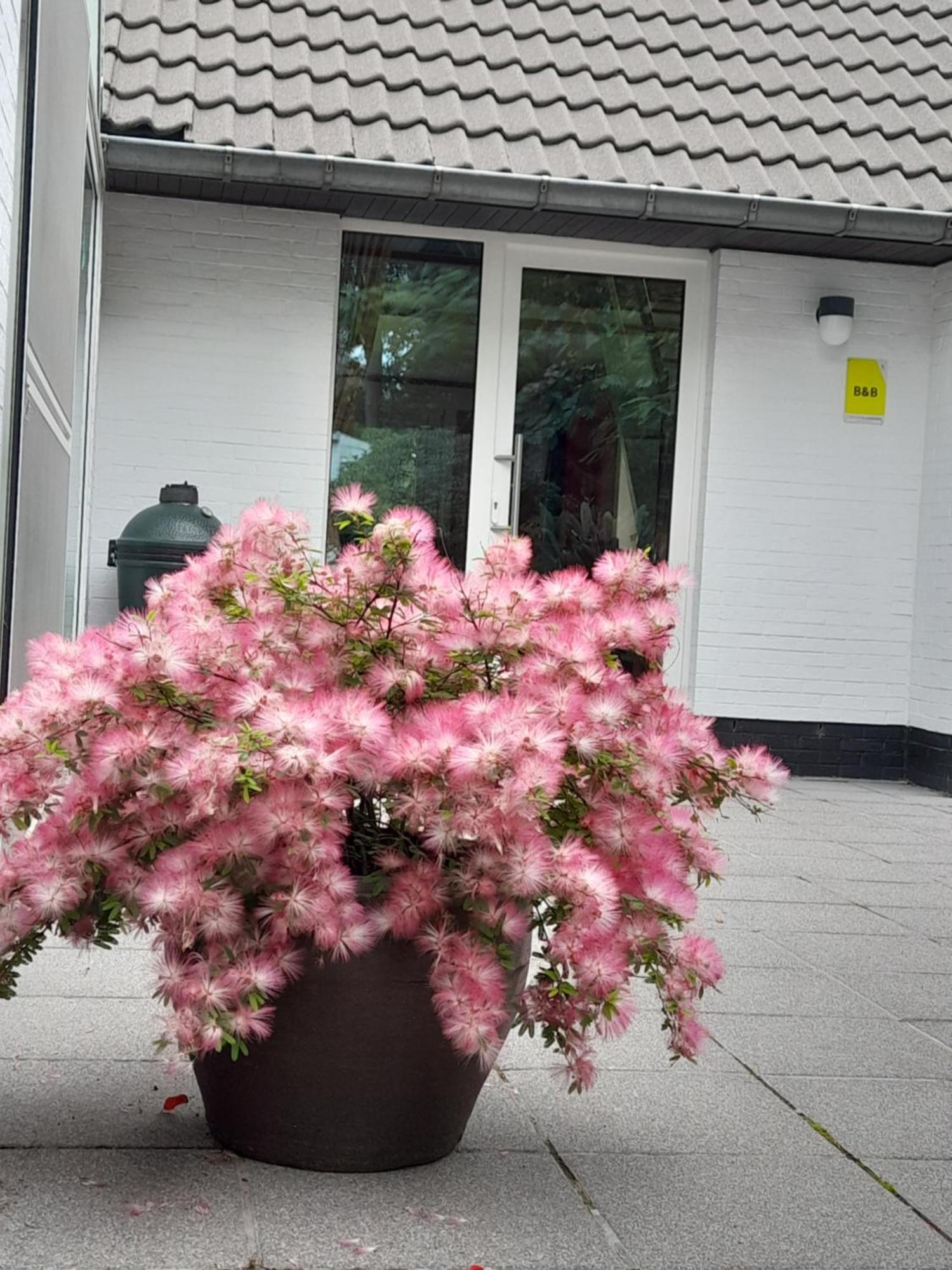 Kromven Merksplas Exterior foto
